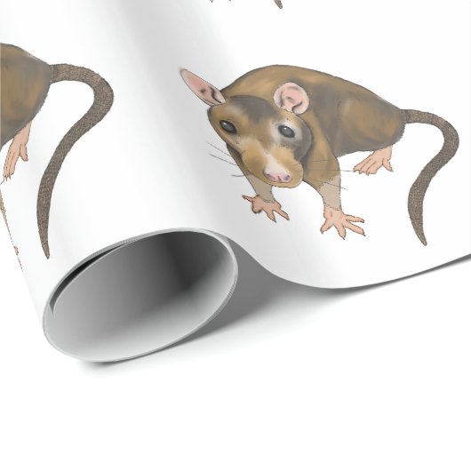Papier Cadeau Rat (Coin rond)