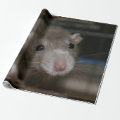 Papier Cadeau Rat curieux (Déroulé)