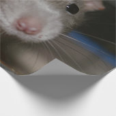 Papier Cadeau Rat curieux (Coin)
