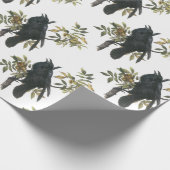 Papier Cadeau Raven commun par Audubon (Coin)