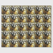 Papier Cadeau rayures du blaireau (Plat)