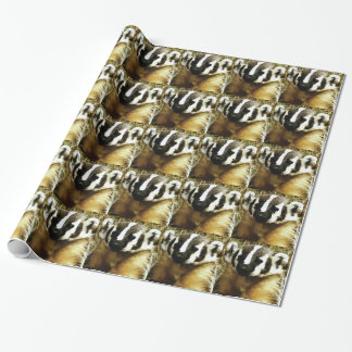 Papier Cadeau rayures du blaireau