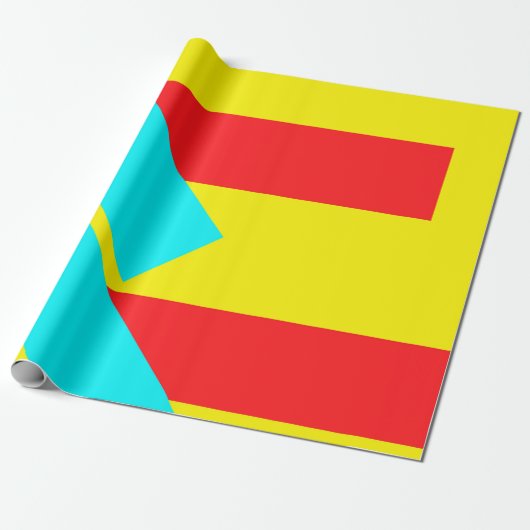 Papier Cadeau Rectangles (Déroulé)