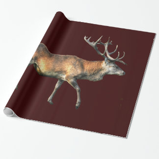 Papier Cadeau Red Deer Stag Animaux sauvages Design