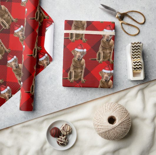 Papier Cadeau Red Plaid Chesapeake Retriever Père Noël Chien Noë (Artisanat)