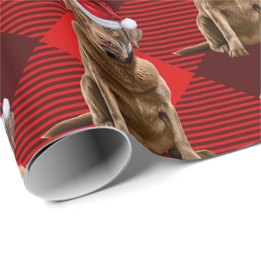 Papier Cadeau Red Plaid Chesapeake Retriever Père Noël Chien Noë (Coin rond)