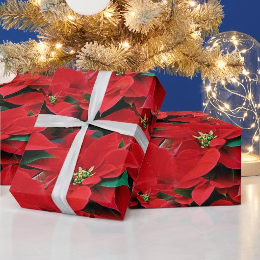 Papier Cadeau Red Poinsettia Holiday (Vacances)