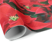 Papier Cadeau Red Poinsettia Holiday (Coin rond)
