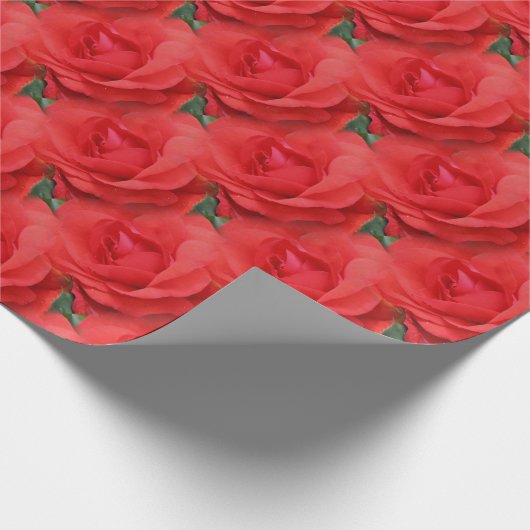 Papier Cadeau Red Rose Flower Nature (Coin)