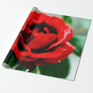 Papier Cadeau Red Rose Love