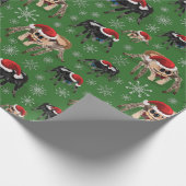 Papier Cadeau Regal Jumping Spider Phiddipus Regius Holiday Moss (Coin)