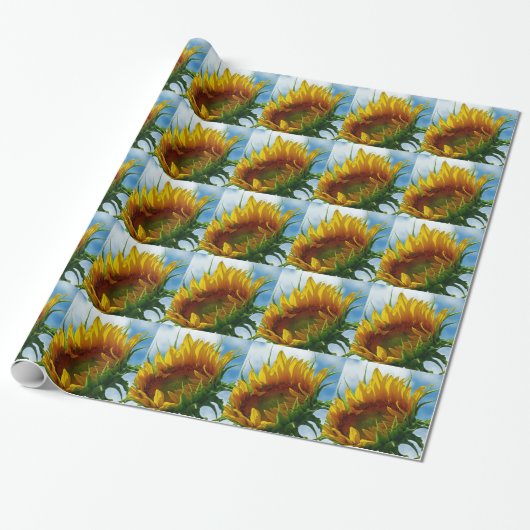 Papier Cadeau Regard sur le soleil (Déroulé)