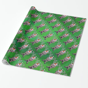 Papier Cadeau Reindees Noël Sur Vert