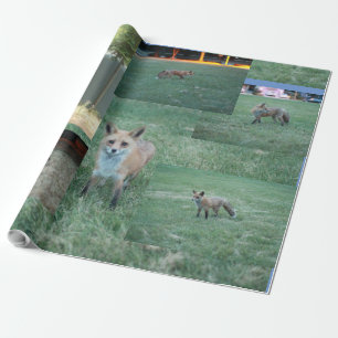 Papier Cadeau Renard et pays avec grange, renard rouge
