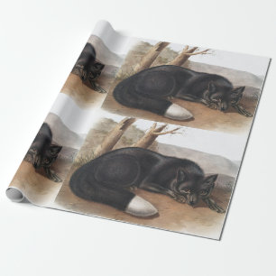 Papier Cadeau Renard noir ou argenté américain (Vulpes fulvus)