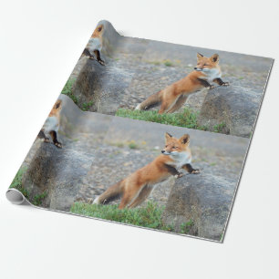 Papier Cadeau Renard rouge debout