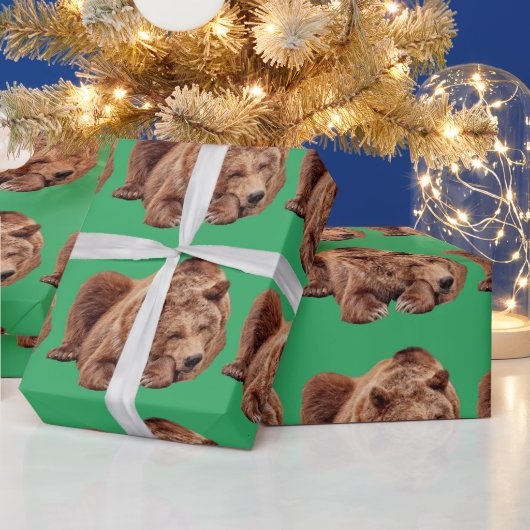 PAPIER CADEAU REPOS GRIZZLY PORTER NOËL OUVRAGE PAPIER (Vacances)