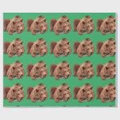 PAPIER CADEAU REPOS GRIZZLY PORTER NOËL OUVRAGE PAPIER (Plat)