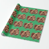 PAPIER CADEAU REPOS GRIZZLY PORTER NOËL OUVRAGE PAPIER (Déroulé)