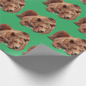 PAPIER CADEAU REPOS GRIZZLY PORTER NOËL OUVRAGE PAPIER (Coin)