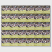 Papier Cadeau Reprise de la guerre civile (Plat)