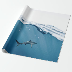 Papier Cadeau Requin Merveilleux