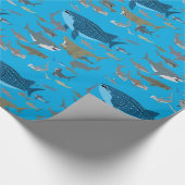 Papier Cadeau Requins Des Océans (Coin)