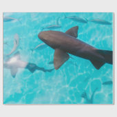 PAPIER CADEAU REQUINS SUR LE CORPS D'EAU (Plat)