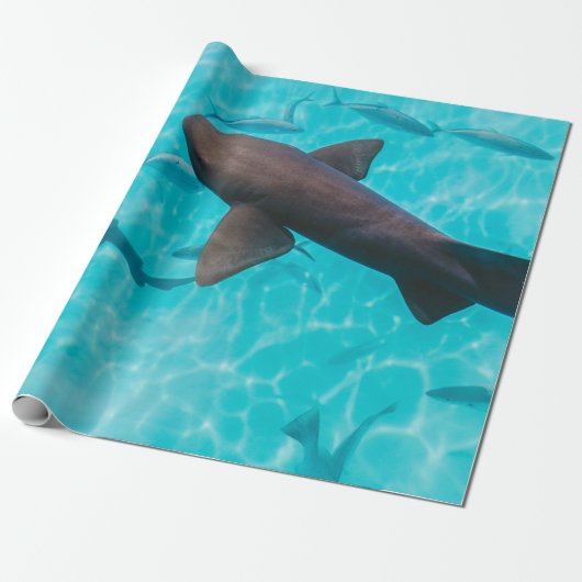 PAPIER CADEAU REQUINS SUR LE CORPS D'EAU (Déroulé)
