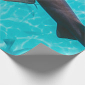 PAPIER CADEAU REQUINS SUR LE CORPS D'EAU (Coin)