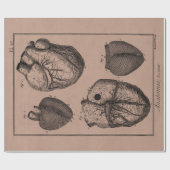 Papier Cadeau Rétros coeurs cardiaques d'anatomie de coeur (Plat)