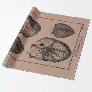 Papier Cadeau Rétros coeurs cardiaques d'anatomie de coeur