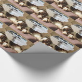 Papier Cadeau Rêves doux (Coin)