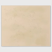 Papier Cadeau Revêtement Antique Perdu (Plat)