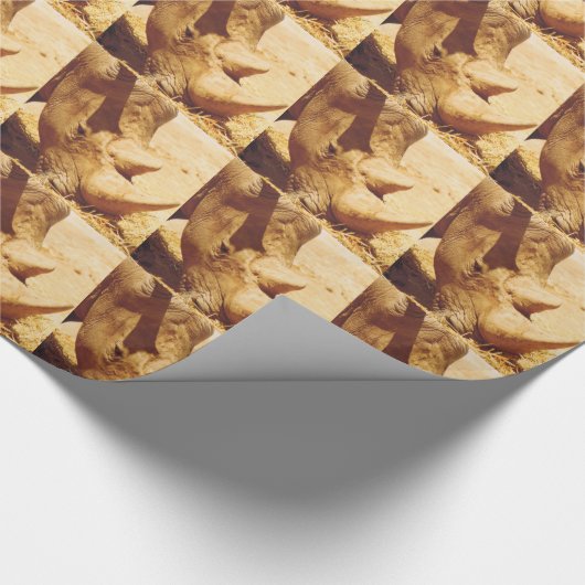 Papier Cadeau Rhinoceros Love (Coin)