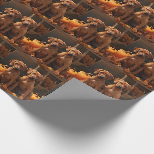 Papier Cadeau Rhodesian Ridgeback Chiot Automne Citrouille délic (Coin)