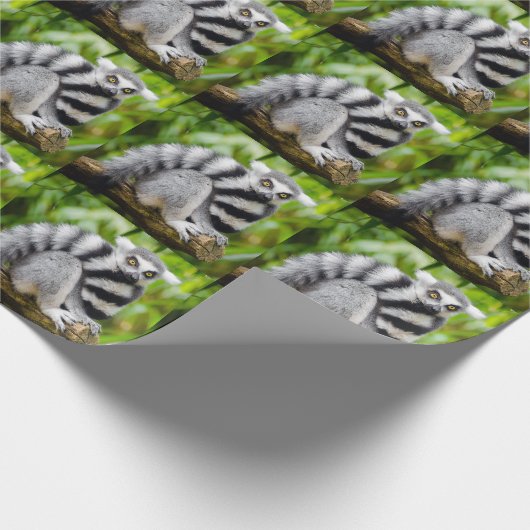 Papier Cadeau Ring-tailed lemur (Coin)