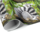 Papier Cadeau Ring-tailed lemur (Coin rond)
