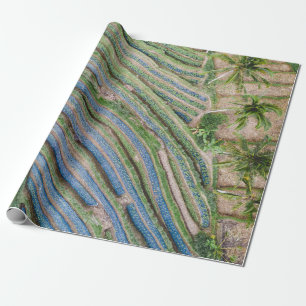 Papier Cadeau Rivière entre la peinture de cocotiers