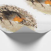 PAPIER CADEAU ROBIN (Coin)