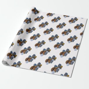 Papier Cadeau Roches polies
