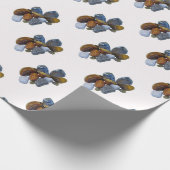 Papier Cadeau Roches polies (Coin)