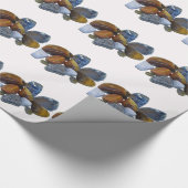 Papier Cadeau Roches polies (Coin)