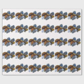 Papier Cadeau Roches polies (Plat)
