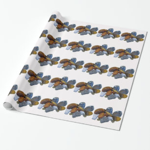 Papier Cadeau Roches polies