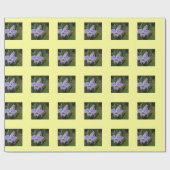 Papier Cadeau Rôle de cadeau photographique (Plat)