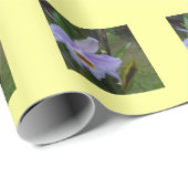 Papier Cadeau Rôle de cadeau photographique (Coin rond)