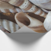 Papier Cadeau Romantique Tropical Exotic Sea Shells Plage Amour (Coin)