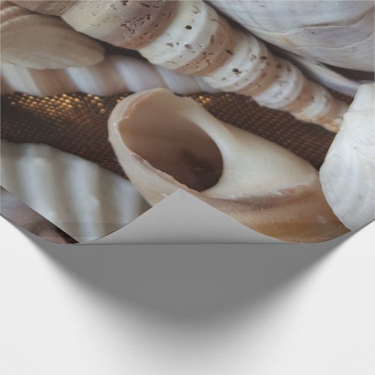Papier Cadeau Romantique Tropical Exotic Sea Shells Plage Amour (Coin)