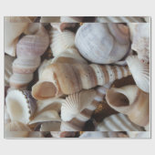 Papier Cadeau Romantique Tropical Exotic Sea Shells Plage Amour (Plat)